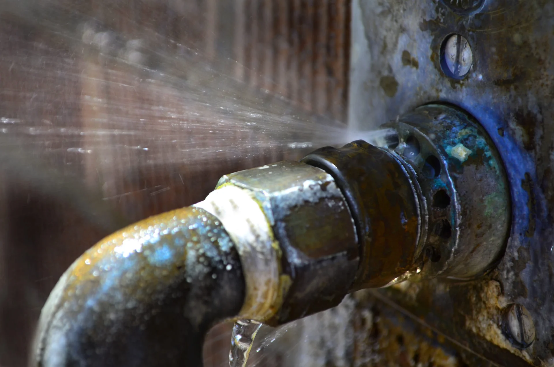 Local plumber working on drain and plumbing system